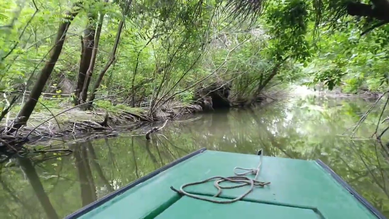 Tisza-tavi csónaktúra Gabócával