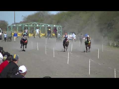 7ma Carrera dst 310 Mts Ganador: CATALEYA 2° KIMERA FIDASH 3° TINCHO