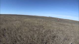 preview picture of video 'Meadow Creek Pheasant Camp Movie 1 - GoPro'