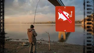 Рыбалка ленты река тавда ноябрь 2020