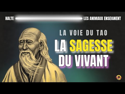 👉 Lao Tseu et les Animaux : La Voie du Tao dans la Sagesse du Vivant