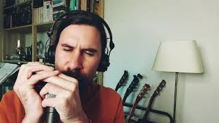 Video thumbnail for Suzuki SCX48 vs Suzuki G48 chromatic harmonica comparison by Filip Jers Music