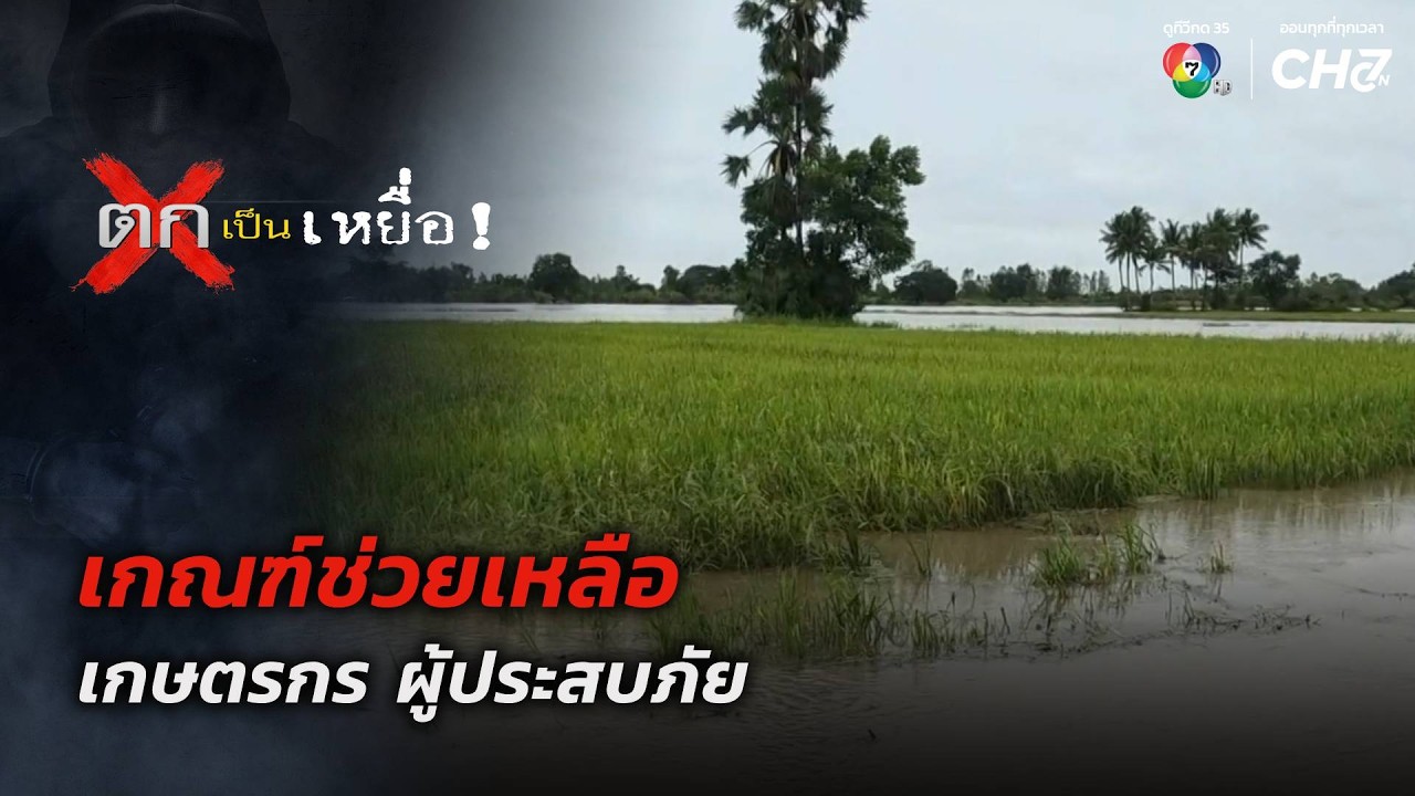 เกณฑ์ช่วยเหลือ เกษตรกร ผู้ประสบภัย | ตกเป็นเหยื่อ