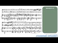 Analysis for Composers #2 - Rhythm and Texture in Brahms op. 114