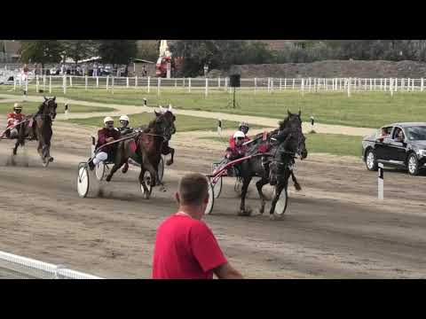 Trka "Voj Put" 16 09 2018 Son of the Best-Jovan Popin