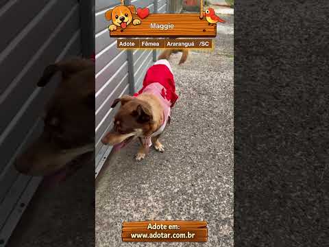 Vídeo de Maggie