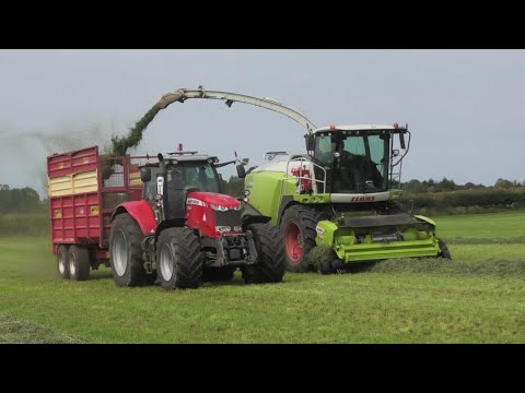 Fourth-Cut Silage with High-Speed Claas 980.