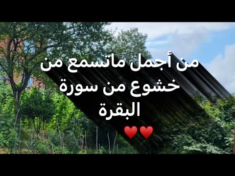 و م ا ه م ب ض ار ين ب ه