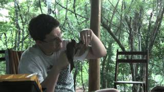 Millsaps Biology Trip Kaxil Kiuic.m2t