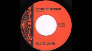 Bill Callahan - Sound of Freedom