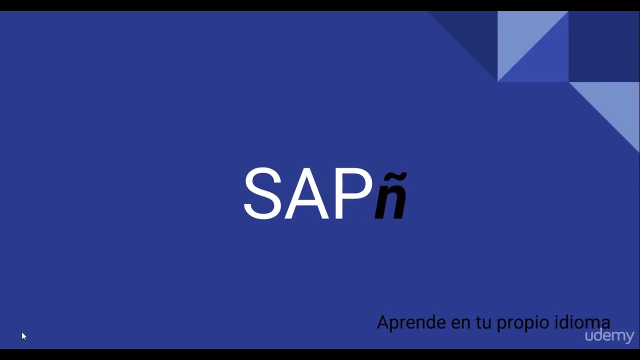 curso sap fi completo