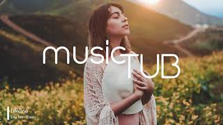 Lifeline - Lvly feat. Emmi [2010s Pop Music]