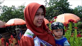 preview picture of video 'Vlog Taman  Bunga Pandeglang'