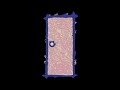 Elmo S World Door Open And Close Sound Effect