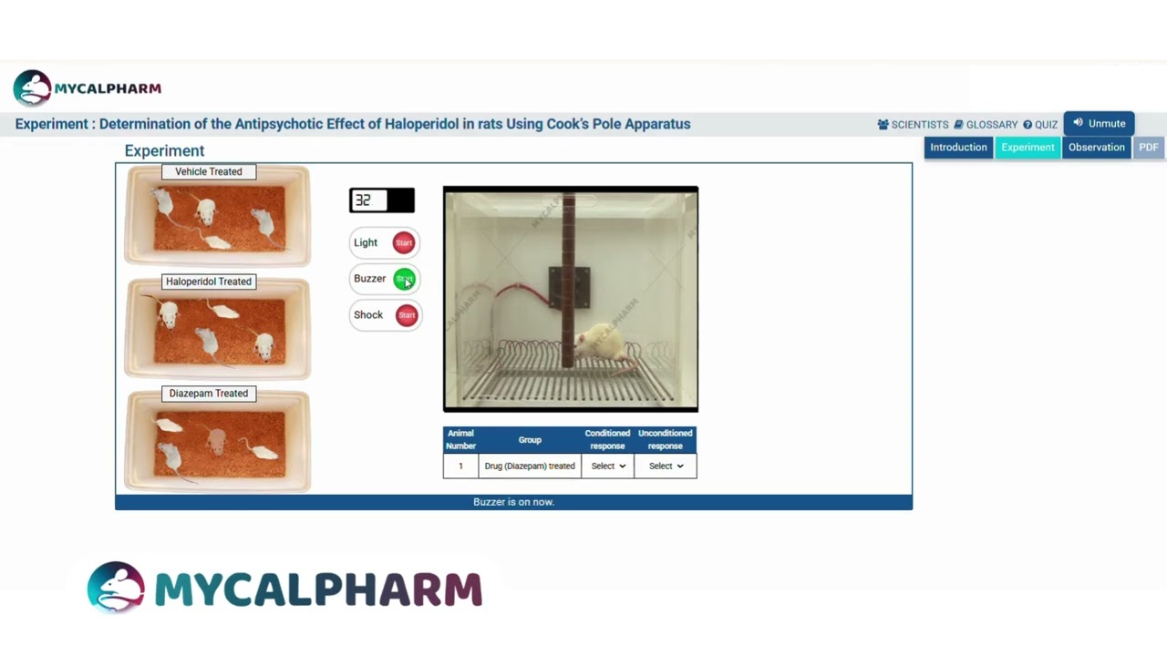 Antipsychotic Effect of Haloperidol