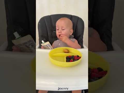 Wait for the berry drama at the end🤦🏼‍♀️ #blw #babyledweaning #babyfood #babieseating #momtok #kadyn