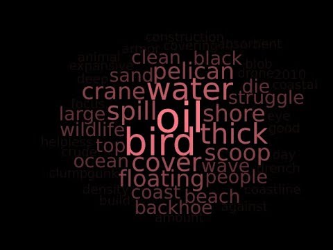 Oily Beaches The Beach Class F2019