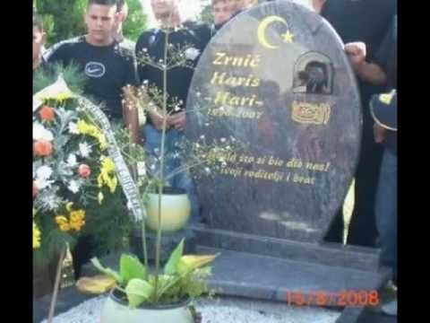 Haris Zrnic Hari 1990.-2007.