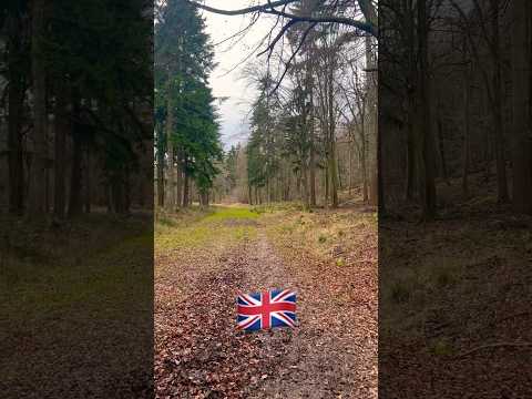 Beautiful muddy trail to start 2024 #shorts #mud #trailrunning #running