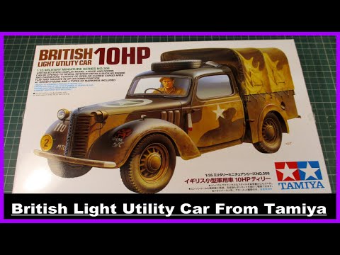 CBD for Cats Video Preview