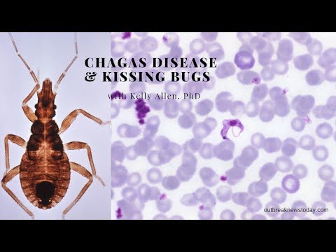 Chagas disease and kissing bugs