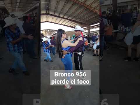 Bronco 956 pierde el foco #bronco956 #dance #pulga #pulgadealamo #alamopulga #chichona #fyp #viral