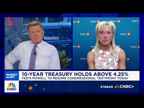 Not sure why the markets are leaning into a Fed rate cut so much, says BMO's Carol Schleif