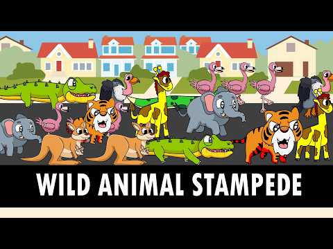 Animal Stampede | Wild Animals in the suburbs | DinoJordan