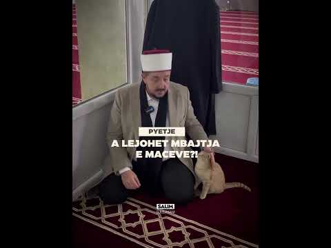 A lejohet mbajtja e maceve në shtëpi? - Salim Sulejmani