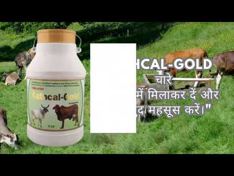 CALCIUM LIQUID Ch Brutcal 20 Litre  MILK CAN