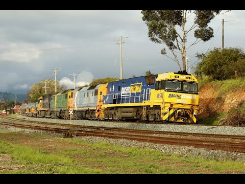 Trackside: A Look Back at Pacific National's WM2 and MW2 Steel Trains