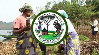 Red rocks tree planting activity