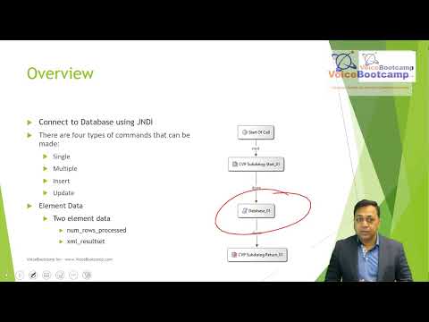 VoiceBootcamp -  Cisco CVP SCripting -Overview Database Element and Its Configurations