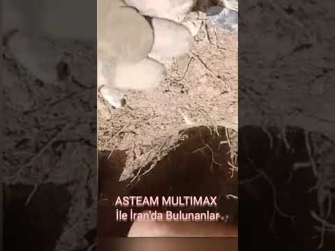 Asteam Multimax Dedektör 1