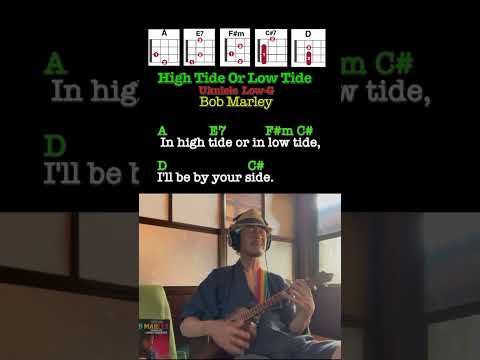 High Tide Low Tide - Vaselines