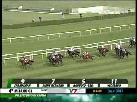 29/09/2013, Milano , Premio Vittorio Di Capua C.naz.