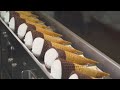 Inside the Factory: Ice Cream Manufacturing from Ingredients to Packaging