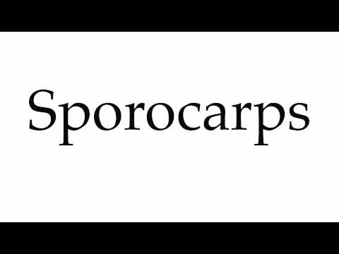 How to Pronounce Sporocarps