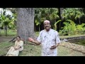 VAANIL MULU MATHIYAI KANDEN