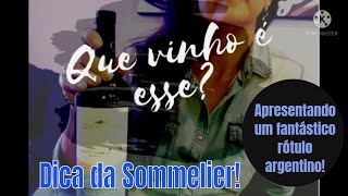 QUE VINHO É ESSE?\/ Semana da Argentina com Mendoza, Buenos Aires e Vinho!