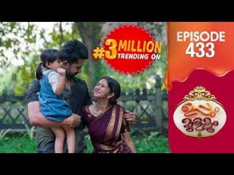 Uppum Mulakum 3 | Flowers | EP #433