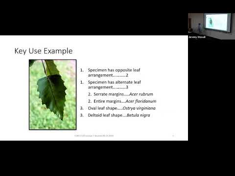 Keying Unknowns - SFA Dendrology Lecture (FORS 2319)