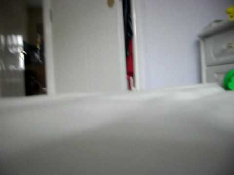 Mega Sato kills Mega Kolo