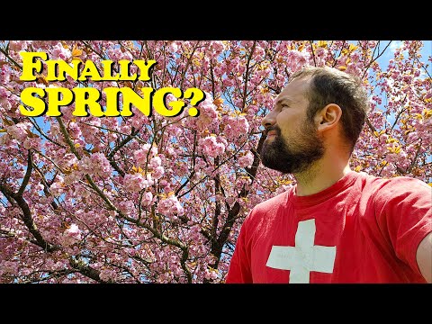 Travel Switzerland in APRIL? What you NEED to KNOW!