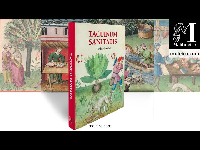 Vídeo relacionado con Estudio Tacuinum Sanitatis MsLat.9333 B.n.F (edición española)