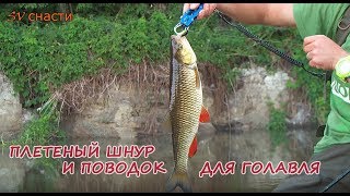 Какой поводок лучше для ловли голавля