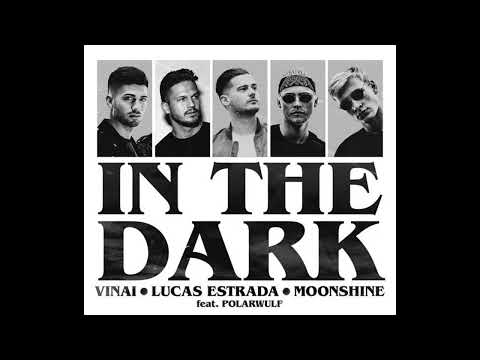 VINAI, Lucas Estrada & Moonshine Ft. Polarwulf - In The Dark