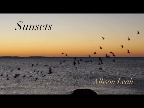 Sunsets - Allison Leah