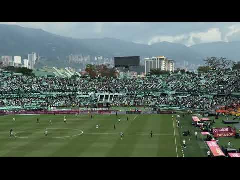 "Atlético Nacional 1 - Envigado 0 | Fecha 9, aliga Betplay 2025-II | DESDE LA TRIBUNA" Barra: Los del Sur &bull; Club: Atlético Nacional