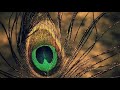 Krishna Flute Ringtone Theme Krishna What S App Status Krishna Bansuri Ringtone Krishna Flute